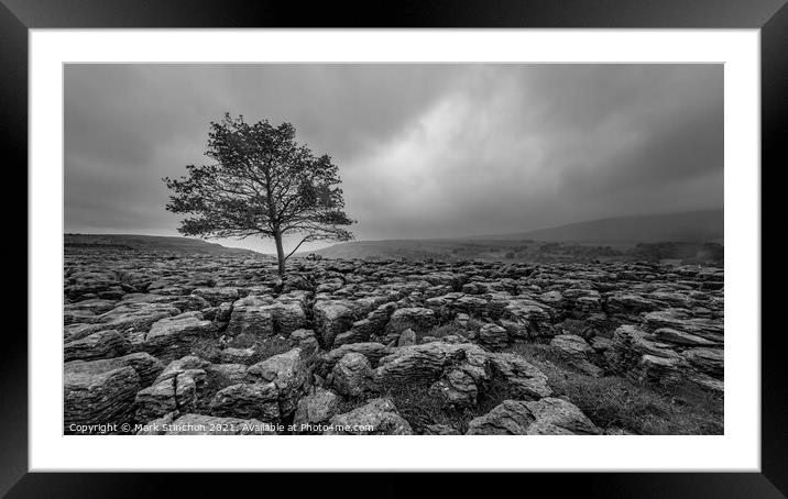 Lone Tree at Ingleton Rocks - Yorkshire Framed Mounted Print by Mark Stinchon