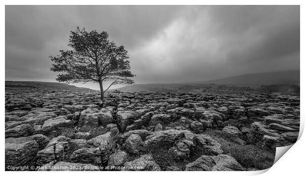 Lone Tree at Ingleton Rocks - Yorkshire Print by Mark Stinchon