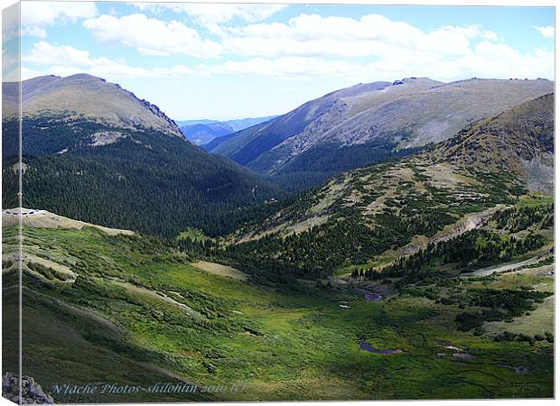 A Rocky Mountain Summer Canvas Print by Sharon Pfeiffer