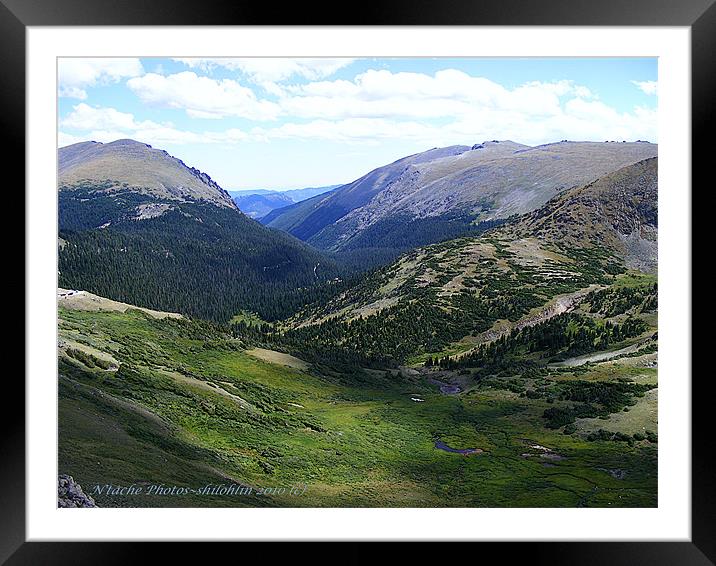 A Rocky Mountain Summer Framed Mounted Print by Sharon Pfeiffer