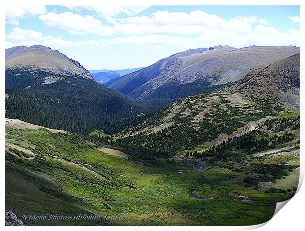 A Rocky Mountain Summer Print by Sharon Pfeiffer