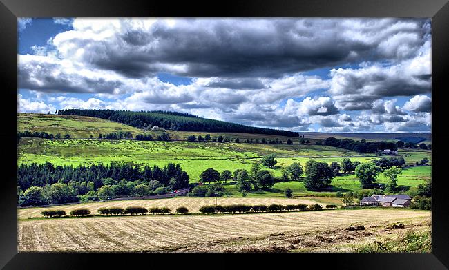 Northumberland Countryside  Framed Print by Jacqui Farrell