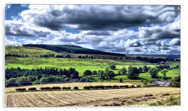 Northumberland Countryside  Acrylic by Jacqui Farrell