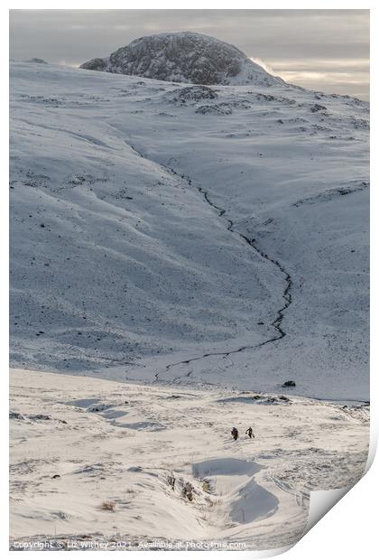 Great Gable in Winter Print by Liz Withey