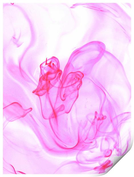 Pink Smoke Print by Louise Godwin