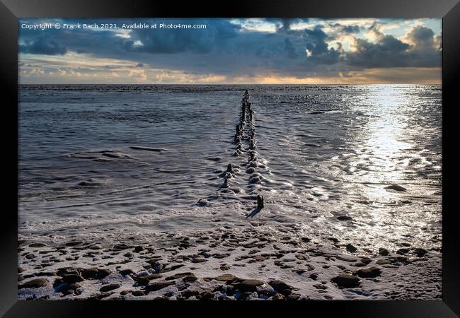 Ebb tide Road on the wadden sea to the island Mandoe, Esbjerg De Framed Print by Frank Bach