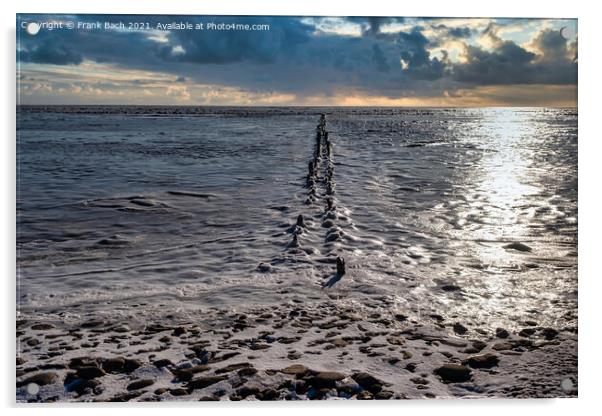 Ebb tide Road on the wadden sea to the island Mandoe, Esbjerg De Acrylic by Frank Bach