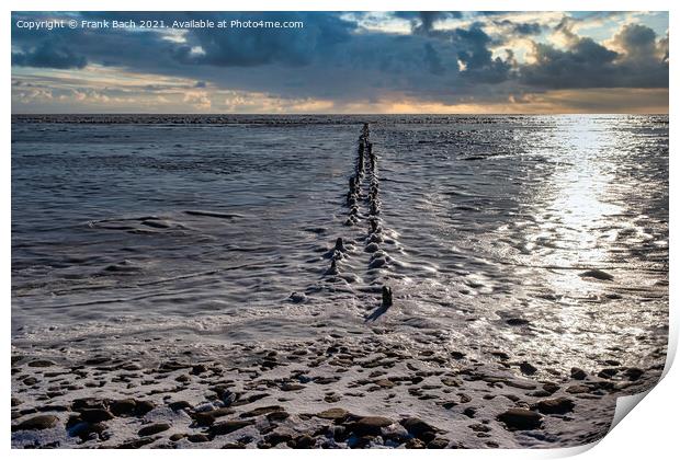Ebb tide Road on the wadden sea to the island Mandoe, Esbjerg De Print by Frank Bach