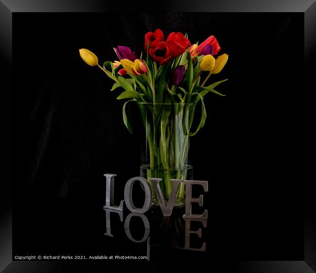 Tulips of Love Framed Print by Richard Perks