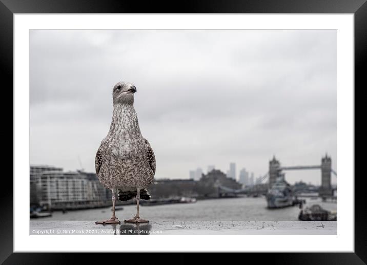 Gull's Eye View of London Framed Mounted Print by Jim Monk