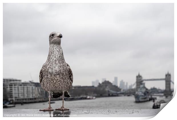 Gull's Eye View of London Print by Jim Monk