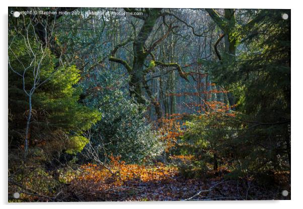 Enchanting Autumn Tree Acrylic by Stephen Hollin