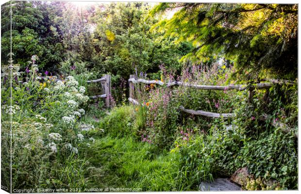 Gweek Cornwall, wildflower, garden fence, Canvas Print by kathy white