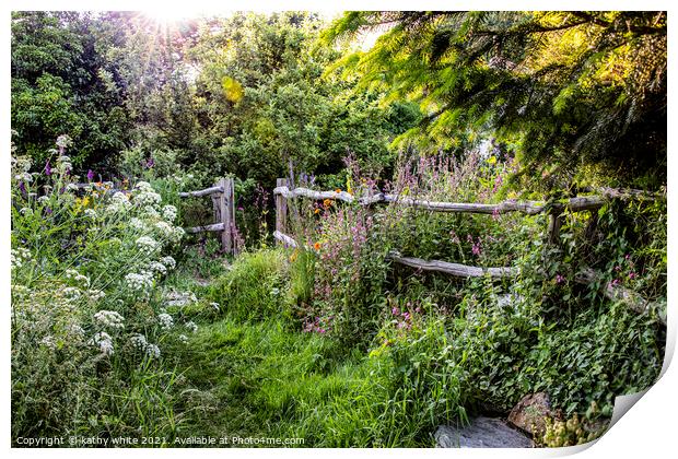 Gweek Cornwall, wildflower, garden fence, Print by kathy white