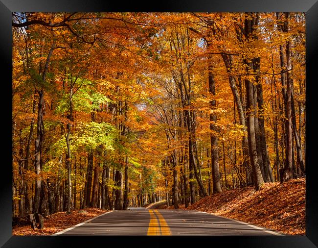 Road leading to Coopers Rock state park overlook in West Virgini Framed Print by Steve Heap