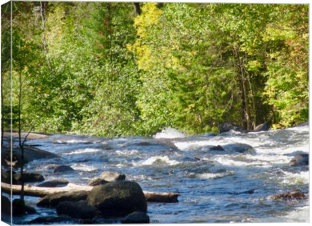 Rushing River rapids Canvas Print by Stephanie Moore