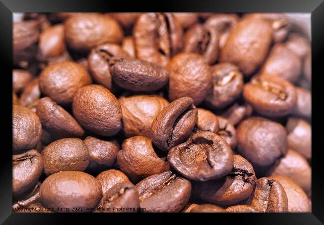 Roasted coffee beans arabica Framed Print by Jenn Burns
