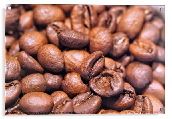 Roasted coffee beans arabica Acrylic by Jenn Burns