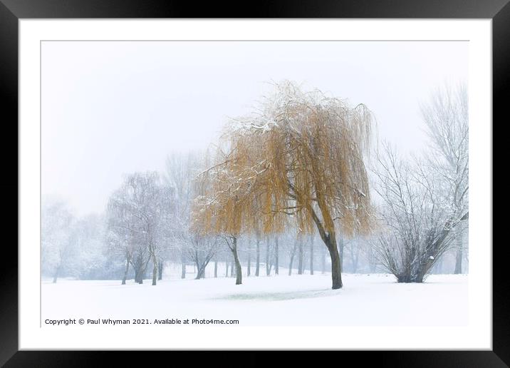 A Willow Tree Weeping in the Falling Snow.  Framed Mounted Print by Paul Whyman