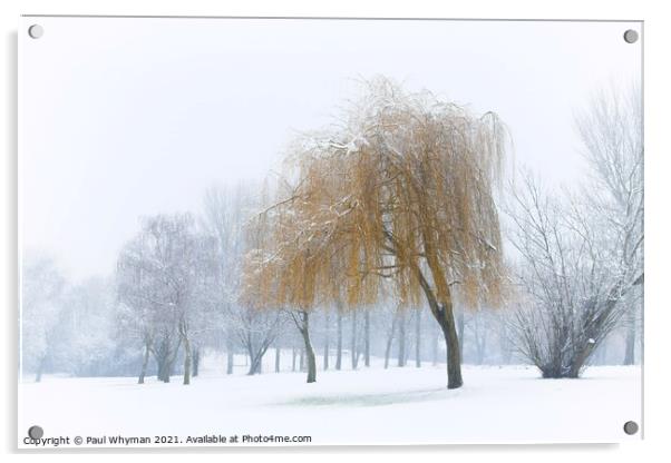 A Willow Tree Weeping in the Falling Snow.  Acrylic by Paul Whyman
