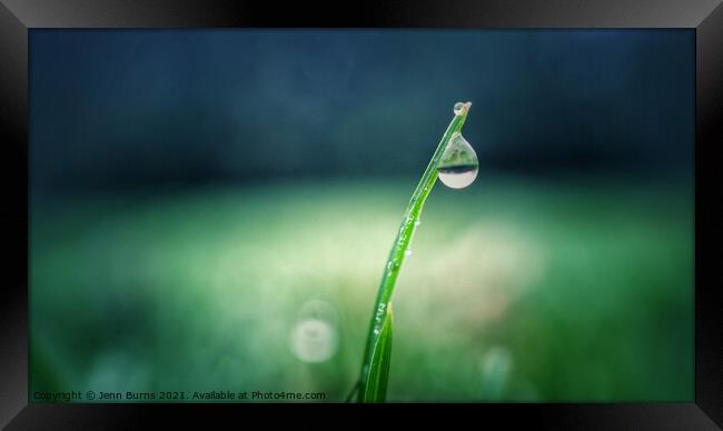 Snowdrop grass water drop with reflection Framed Print by Jenn Burns