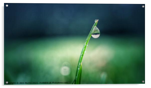 Snowdrop grass water drop with reflection Acrylic by Jenn Burns