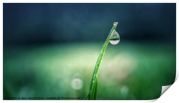Snowdrop grass water drop with reflection Print by Jenn Burns
