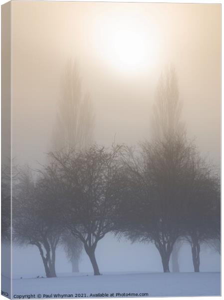 Rising sun on a snowy winter morning Canvas Print by Paul Whyman