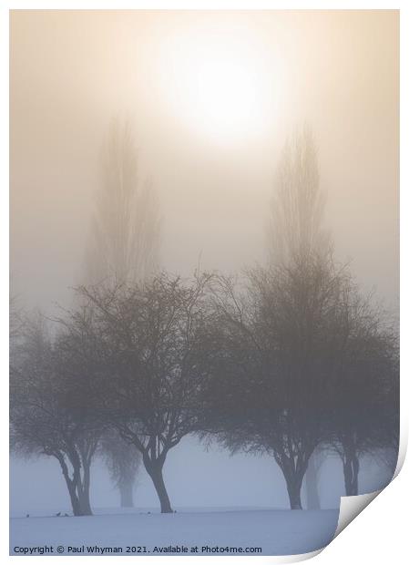 Rising sun on a snowy winter morning Print by Paul Whyman