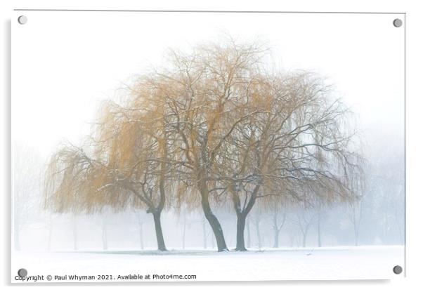 Weeping willows in the snow Acrylic by Paul Whyman