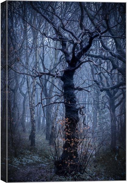 Mystical tree Canvas Print by Paul Whyman