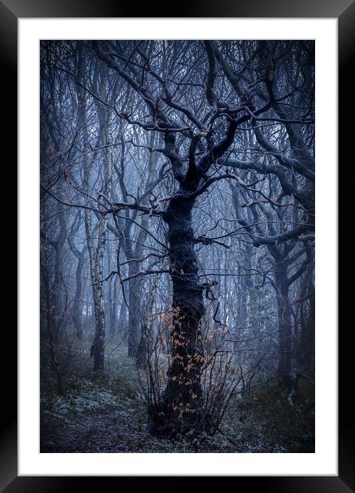 Mystical tree Framed Mounted Print by Paul Whyman