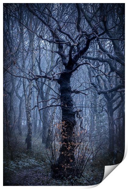 Mystical tree Print by Paul Whyman