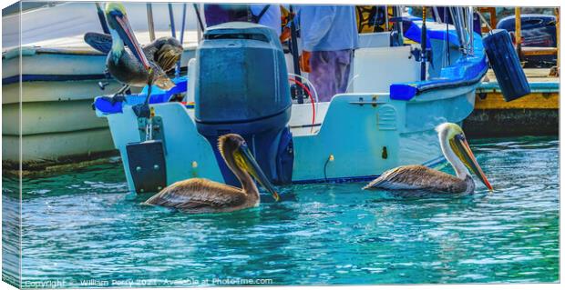Brown Pelicans Marina Boats Cabo San Lucas Mexico Canvas Print by William Perry