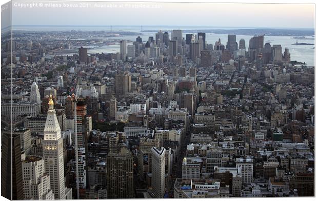 new york,usa Canvas Print by milena boeva