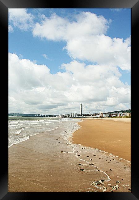 Swansea Beach at midday Framed Print by Dan Davidson