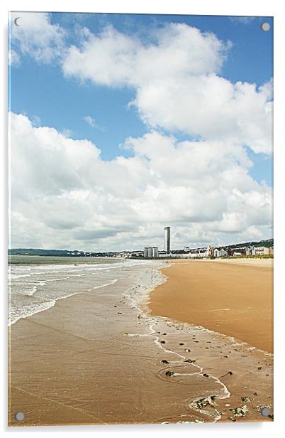 Swansea Beach at midday Acrylic by Dan Davidson