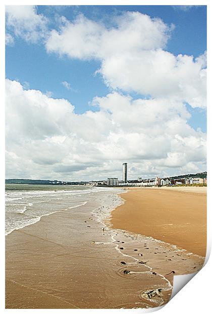 Swansea Beach at midday Print by Dan Davidson