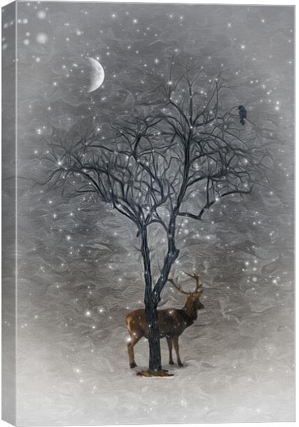 A Naked Tree Canvas Print by Tom York