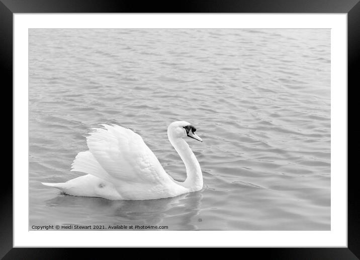 Elegance Framed Mounted Print by Heidi Stewart