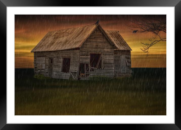 Shelter From The Storm Framed Mounted Print by Tom York