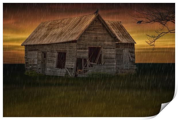 Shelter From The Storm Print by Tom York