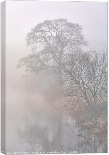 Foggy & frosty day River Annan Canvas Print by Hugh McKean
