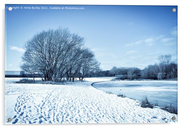 Frosty landscape Acrylic by Aimie Burley