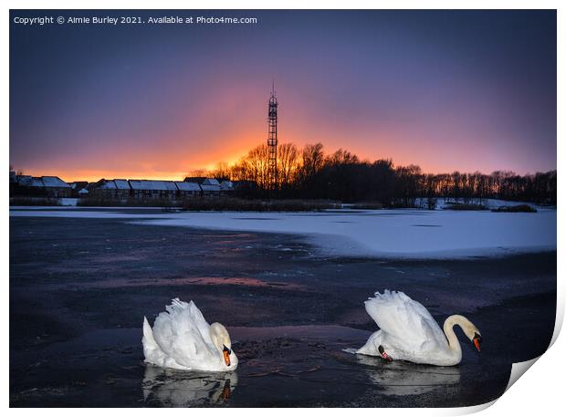 Swans on ice Print by Aimie Burley