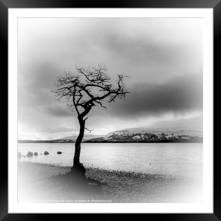 The Lone Tree At Milarrochy Bay,Loch Lomond - Black and White Framed Mounted Print by Tylie Duff Photo Art