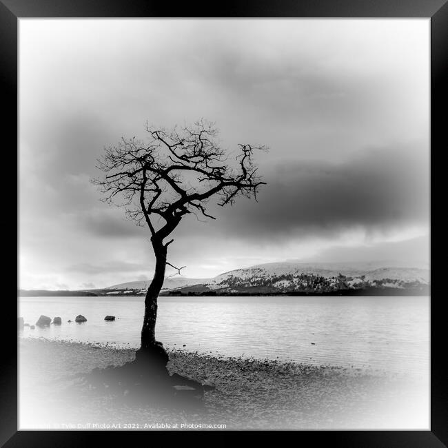 The Lone Tree At Milarrochy Bay,Loch Lomond - Black and White Framed Print by Tylie Duff Photo Art