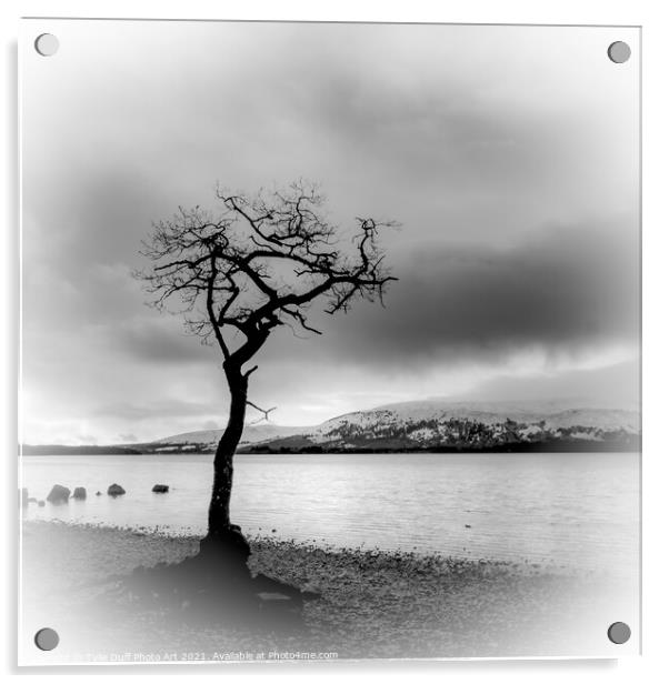 The Lone Tree At Milarrochy Bay,Loch Lomond - Black and White Acrylic by Tylie Duff Photo Art