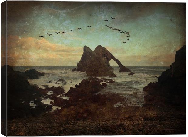 Bow Fiddle Rock - Scotland, Canvas Print by Tommy Dickson