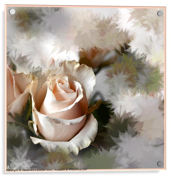 A Delicate Rose Acrylic by Alexandra Lavizzari